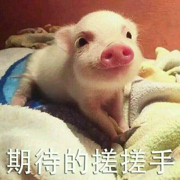馍馍球