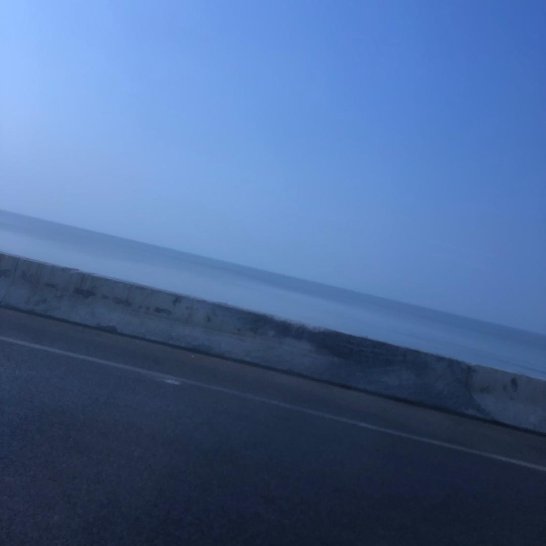 北尔园艺