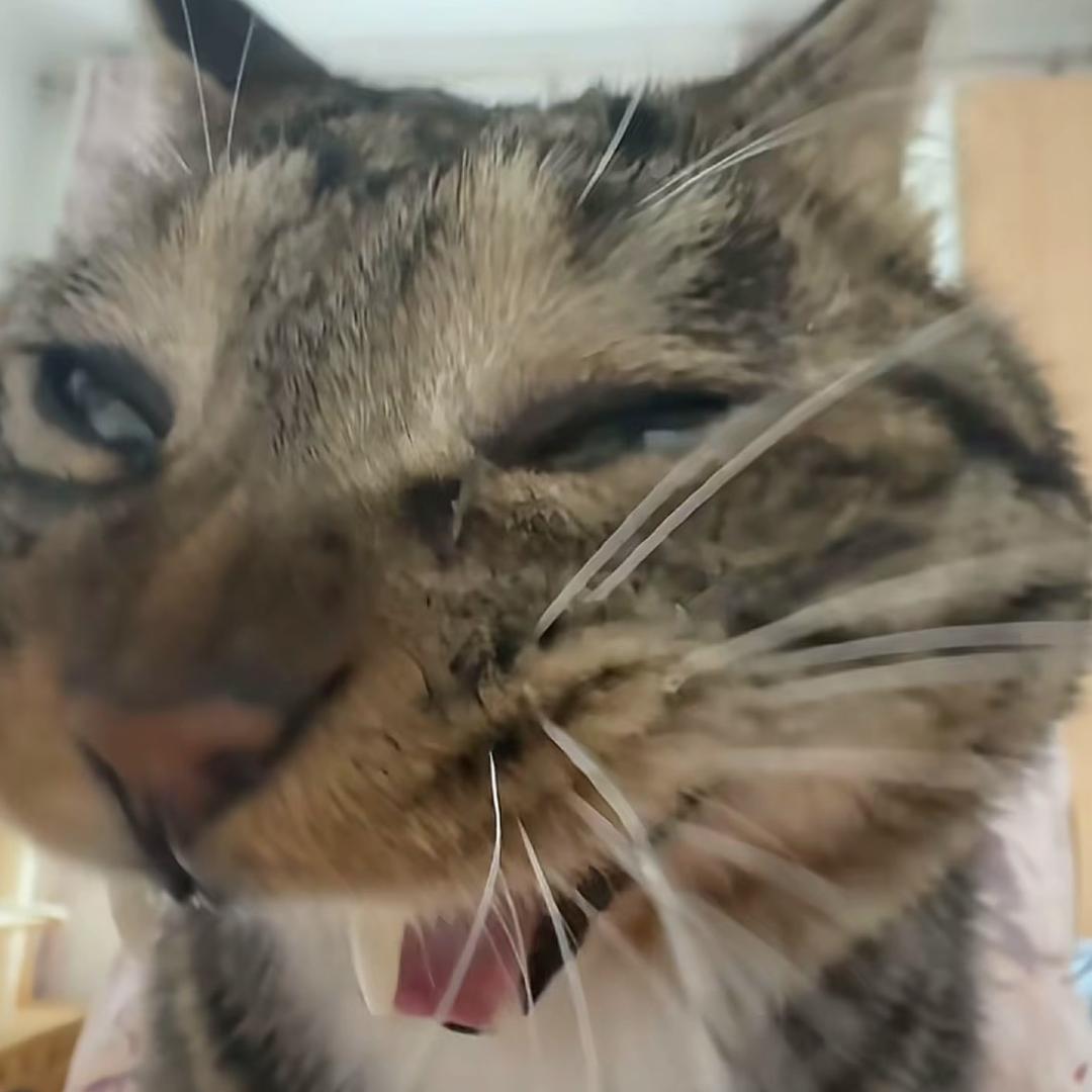 ？？？？