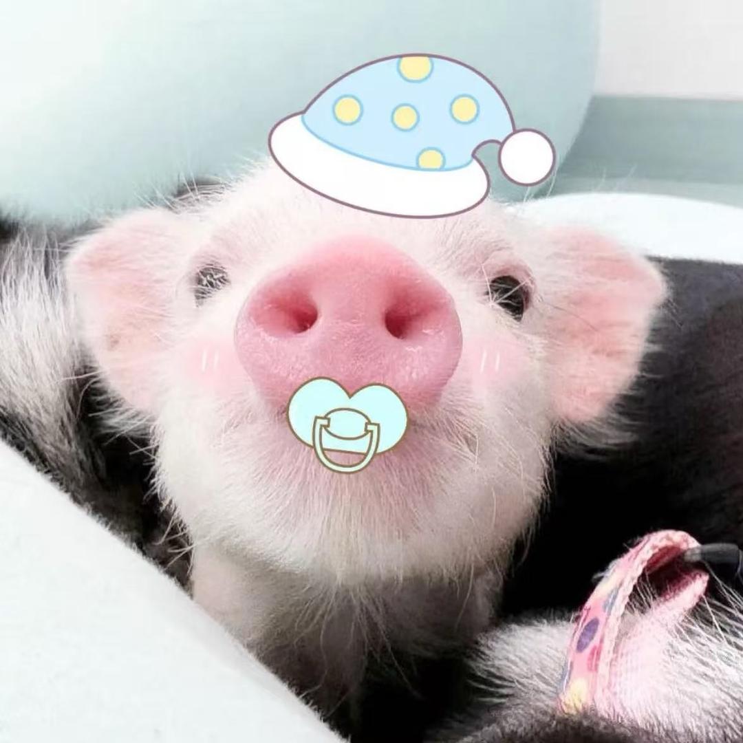 上厕所蹲太久贫血晕倒在厕所无人问津