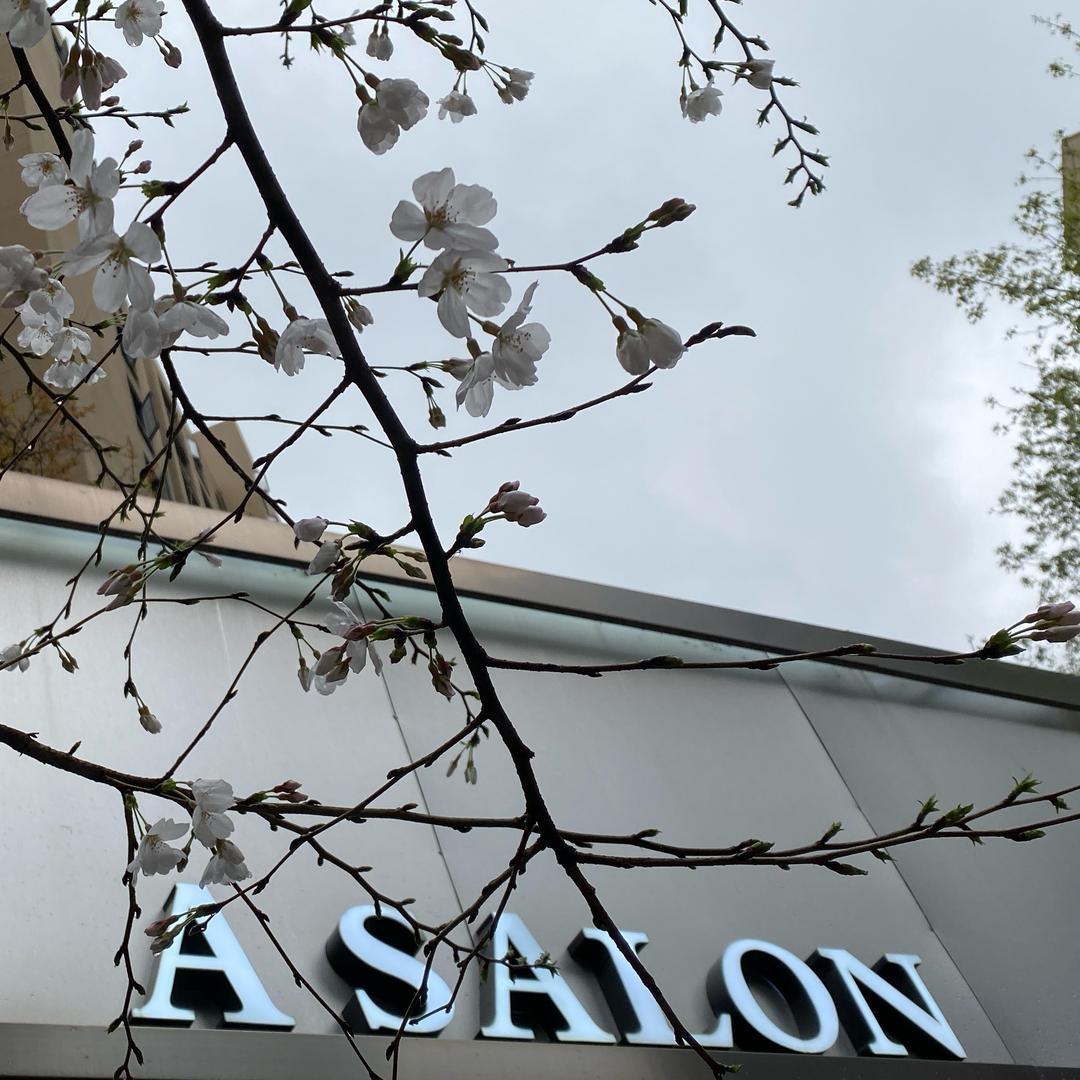 ASALON美发头皮管理中心官方号