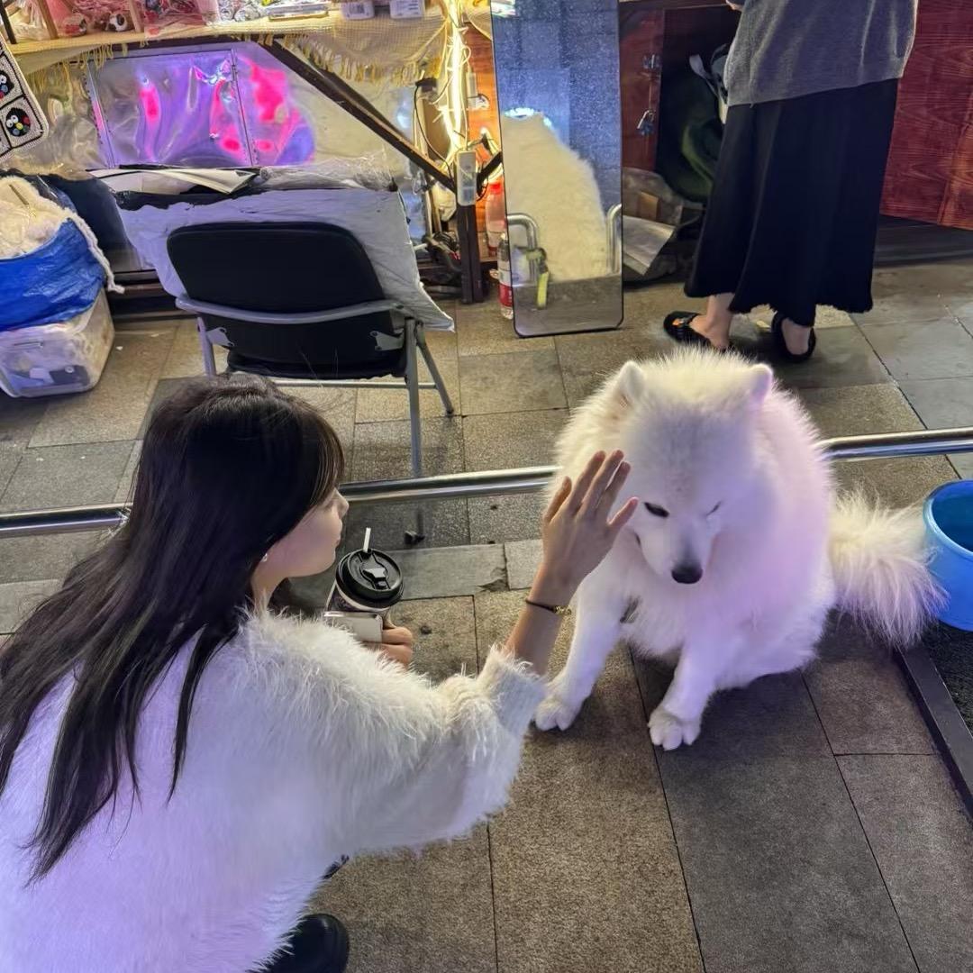 王子别脸红