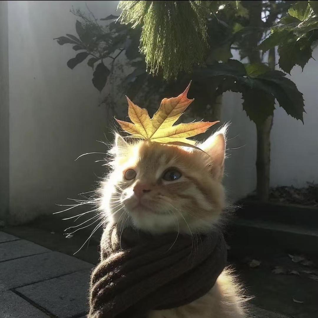 糟糕
