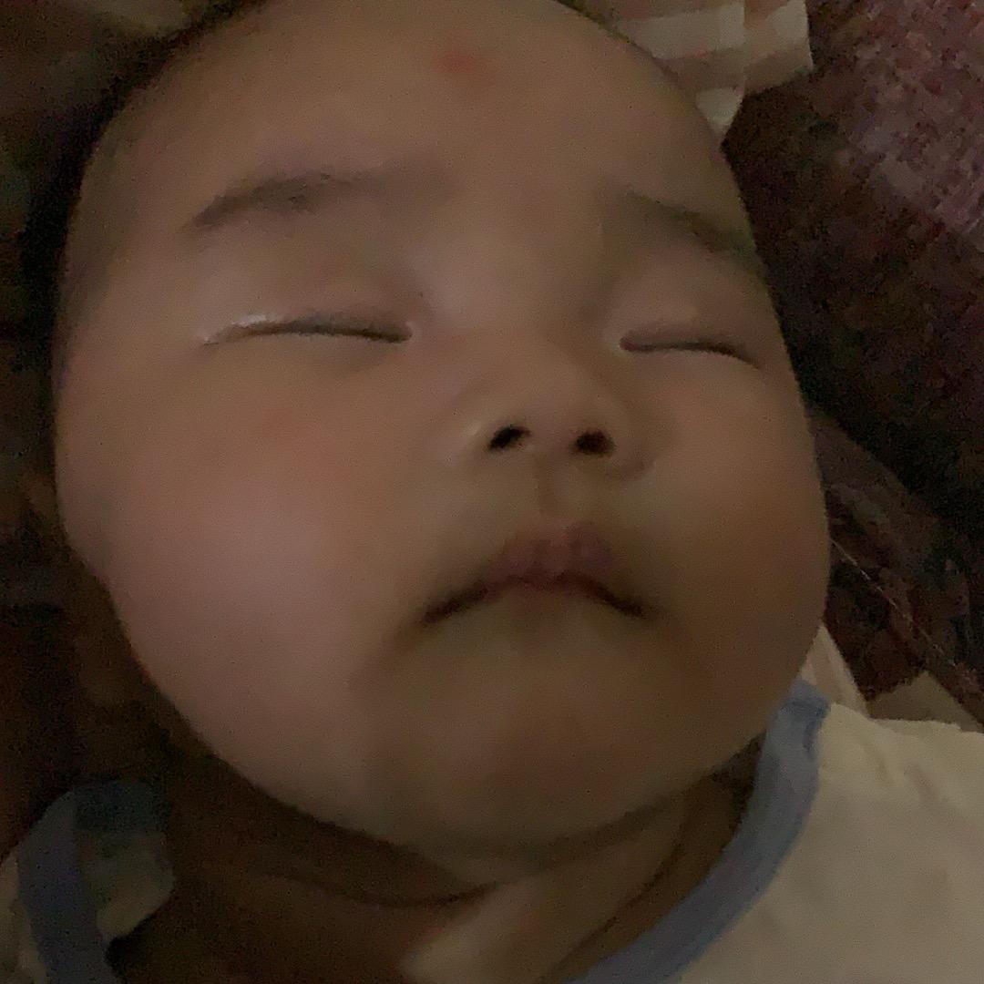 小鹿日记