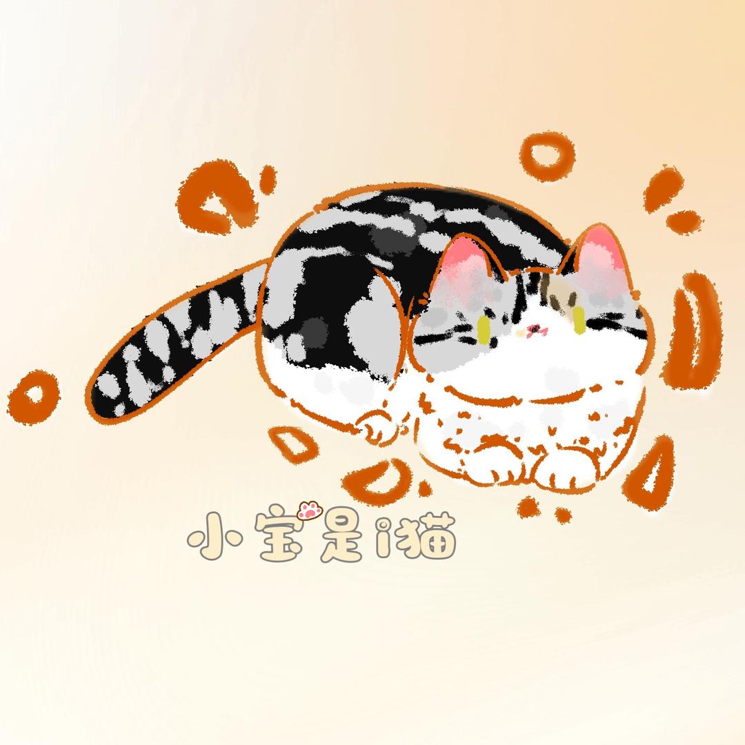 小宝是i猫