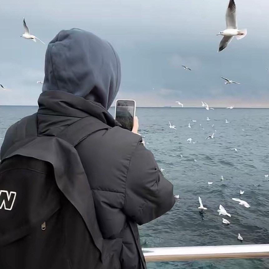 (海边捡贝壳🐚)