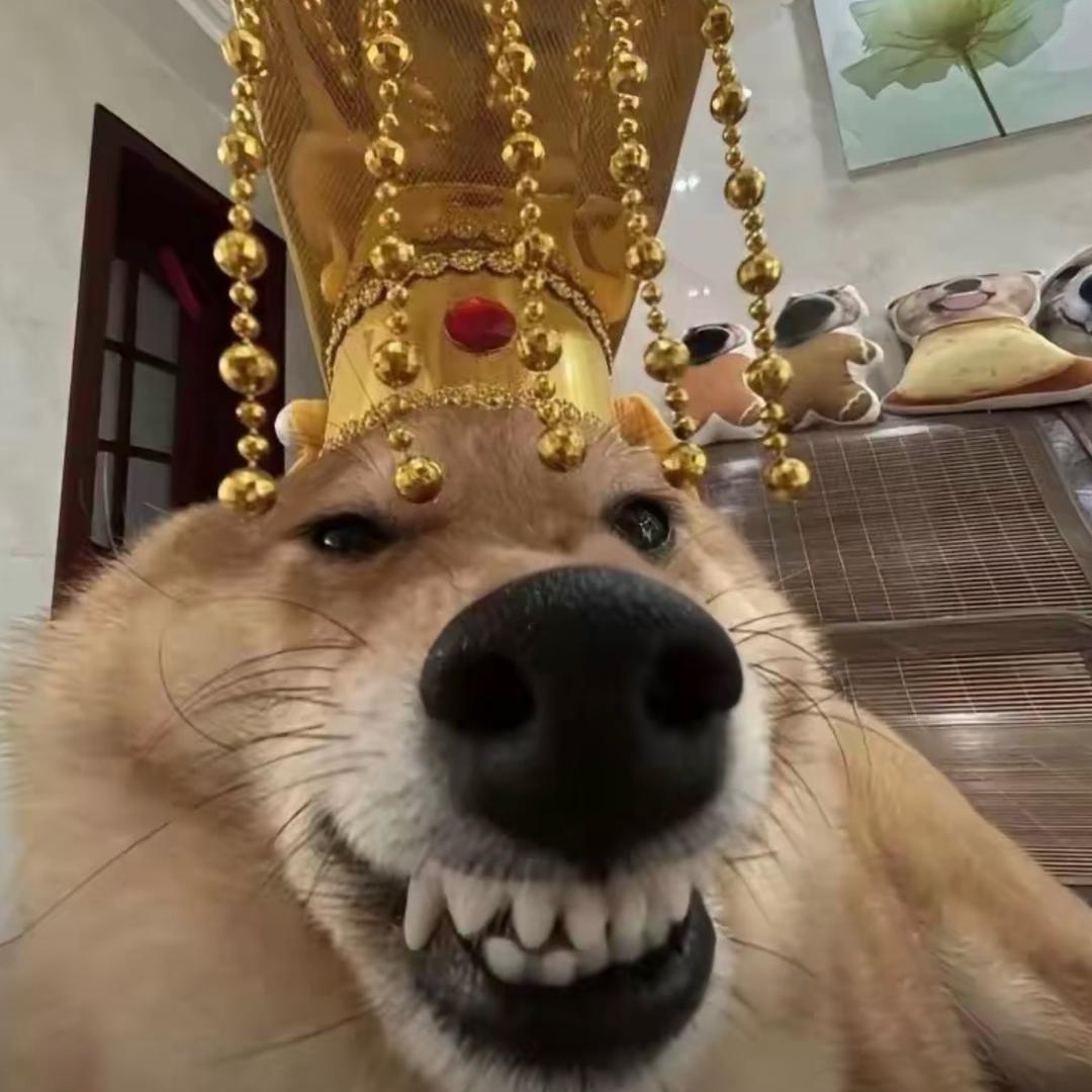 小康Ya