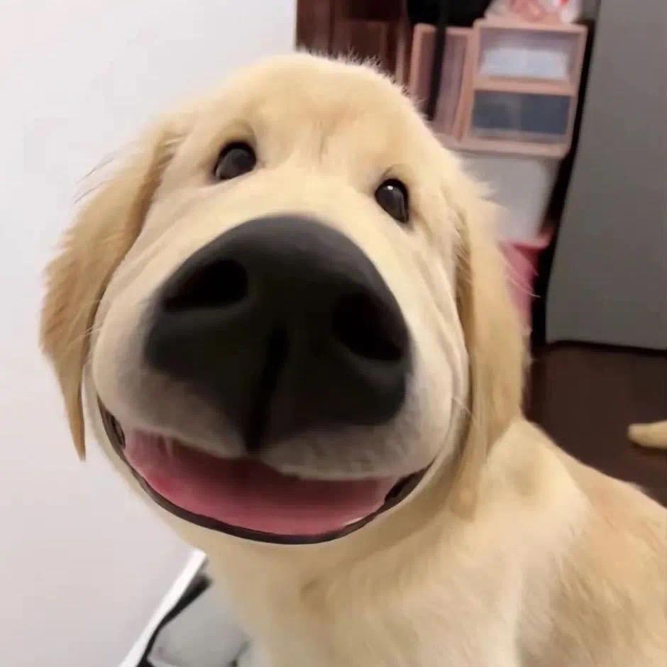 张睿.