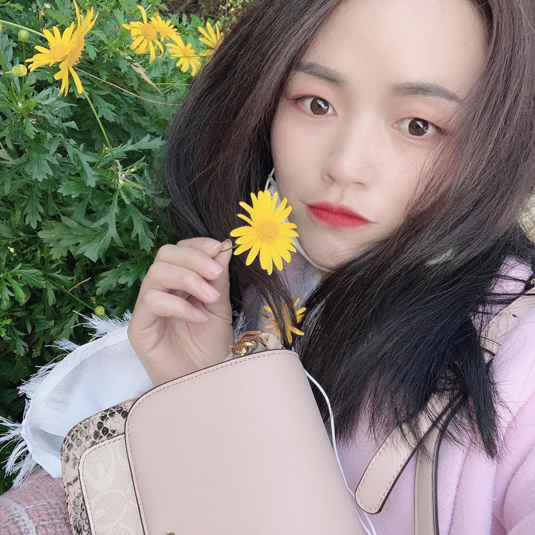 花小猪花卉（斗南鲜花基地直发）