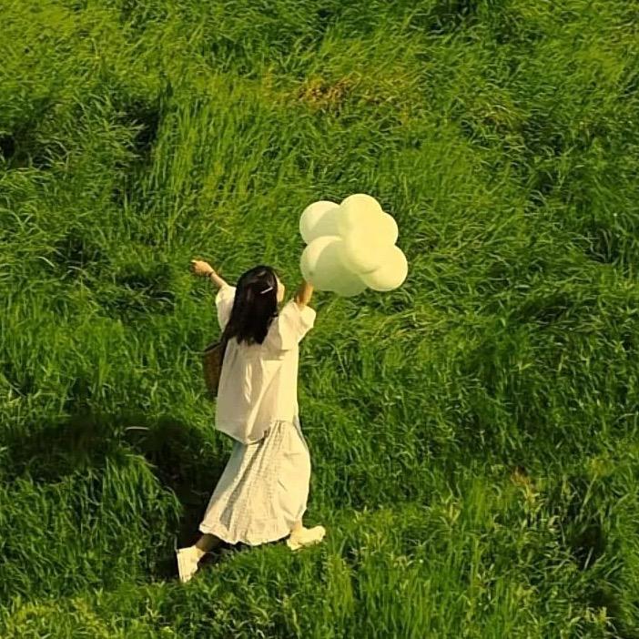 鱼禾星🌳