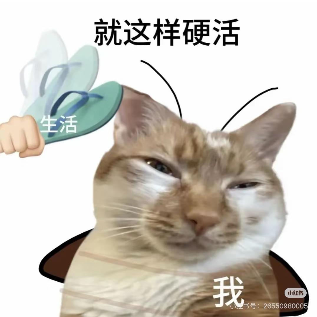 一糕雾里糕糕