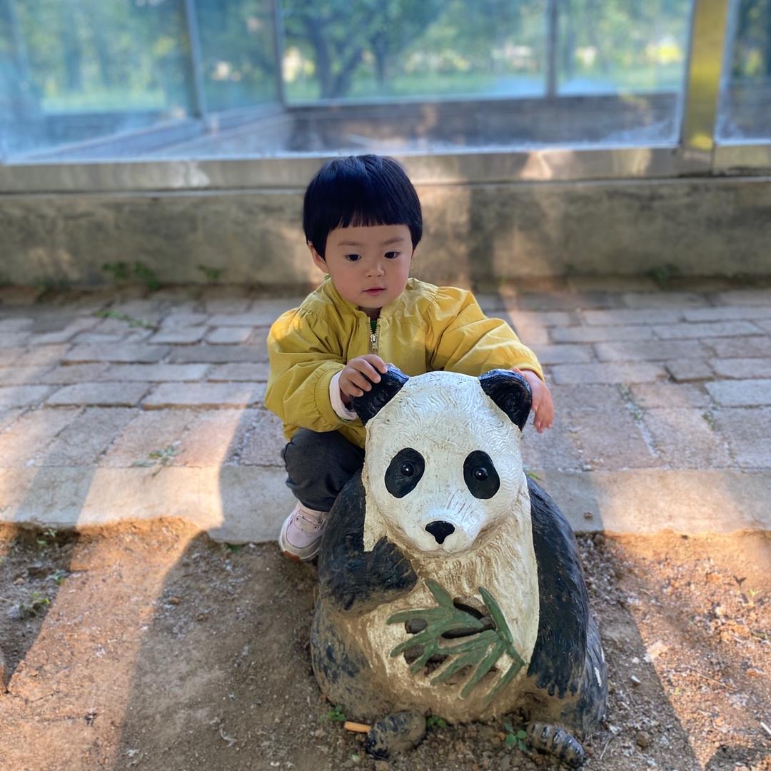 小豪豪
