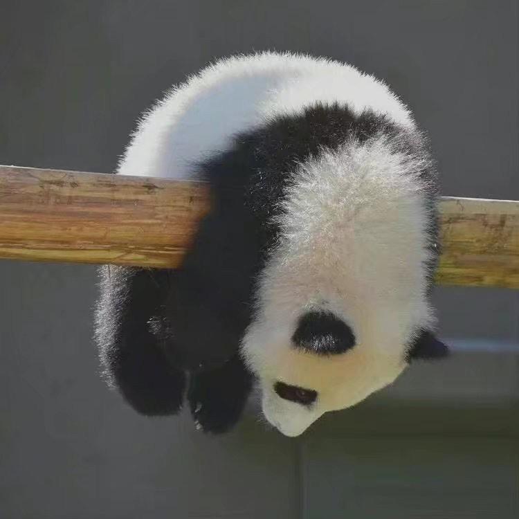 故事与她