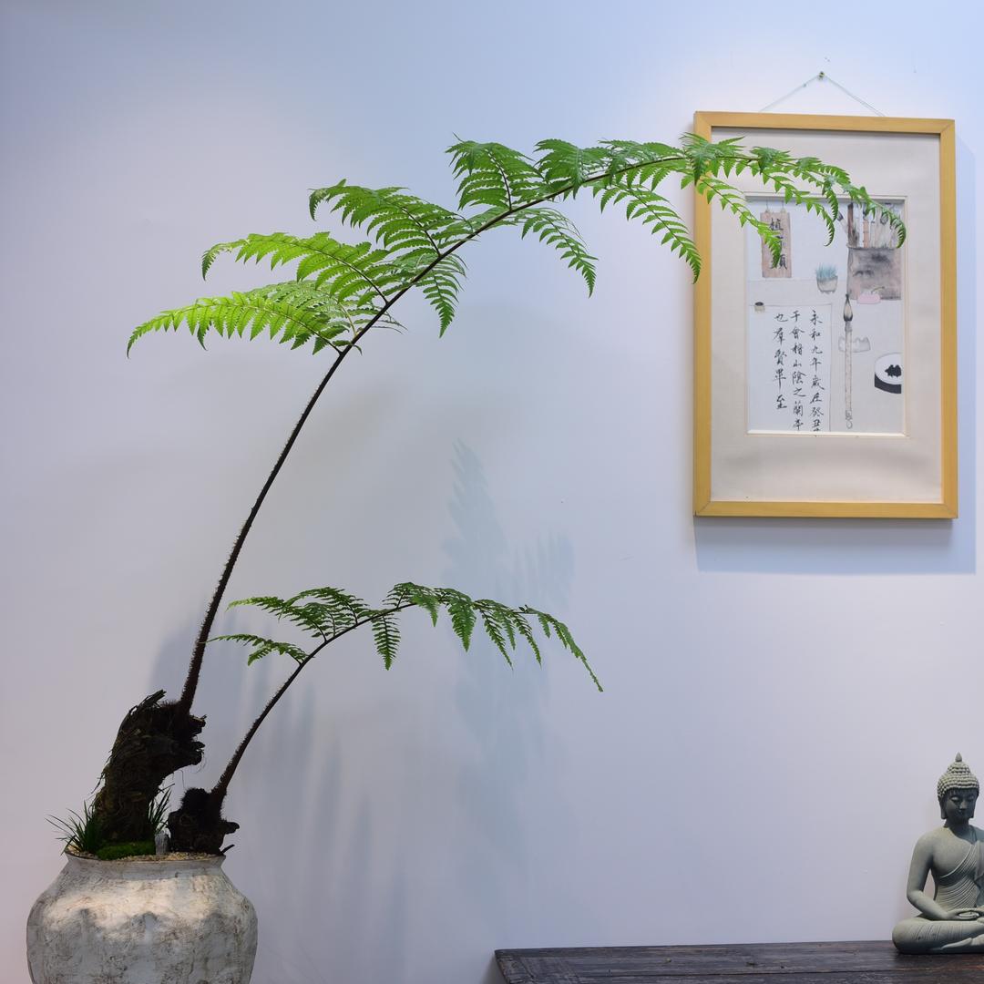 漳州有间花店供应链有限公司