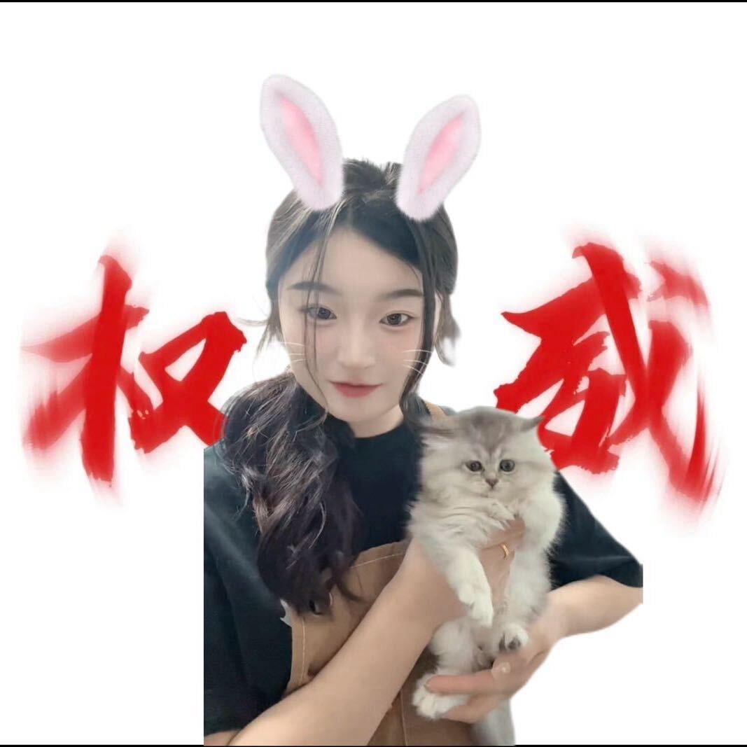 蔷薇花开了.