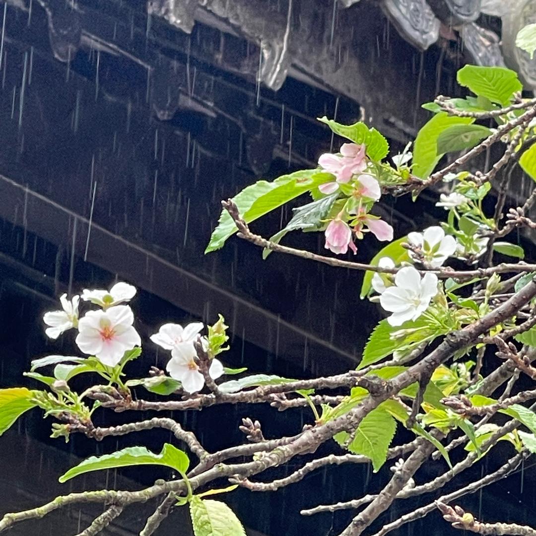 🌦用户1112615124902