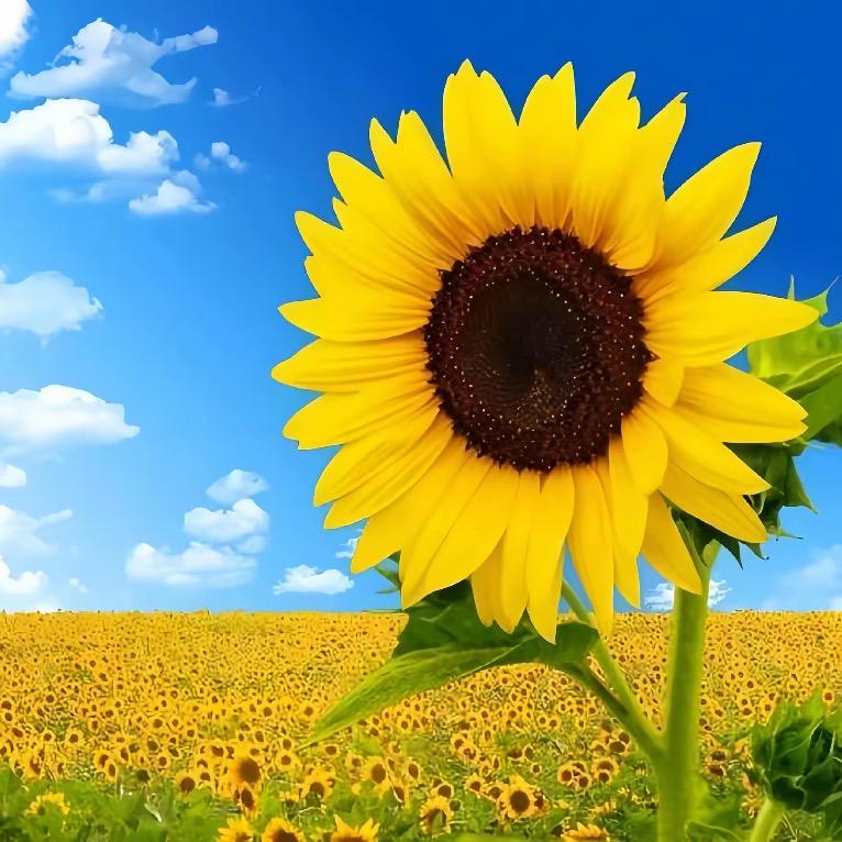 媛念慕分享好物