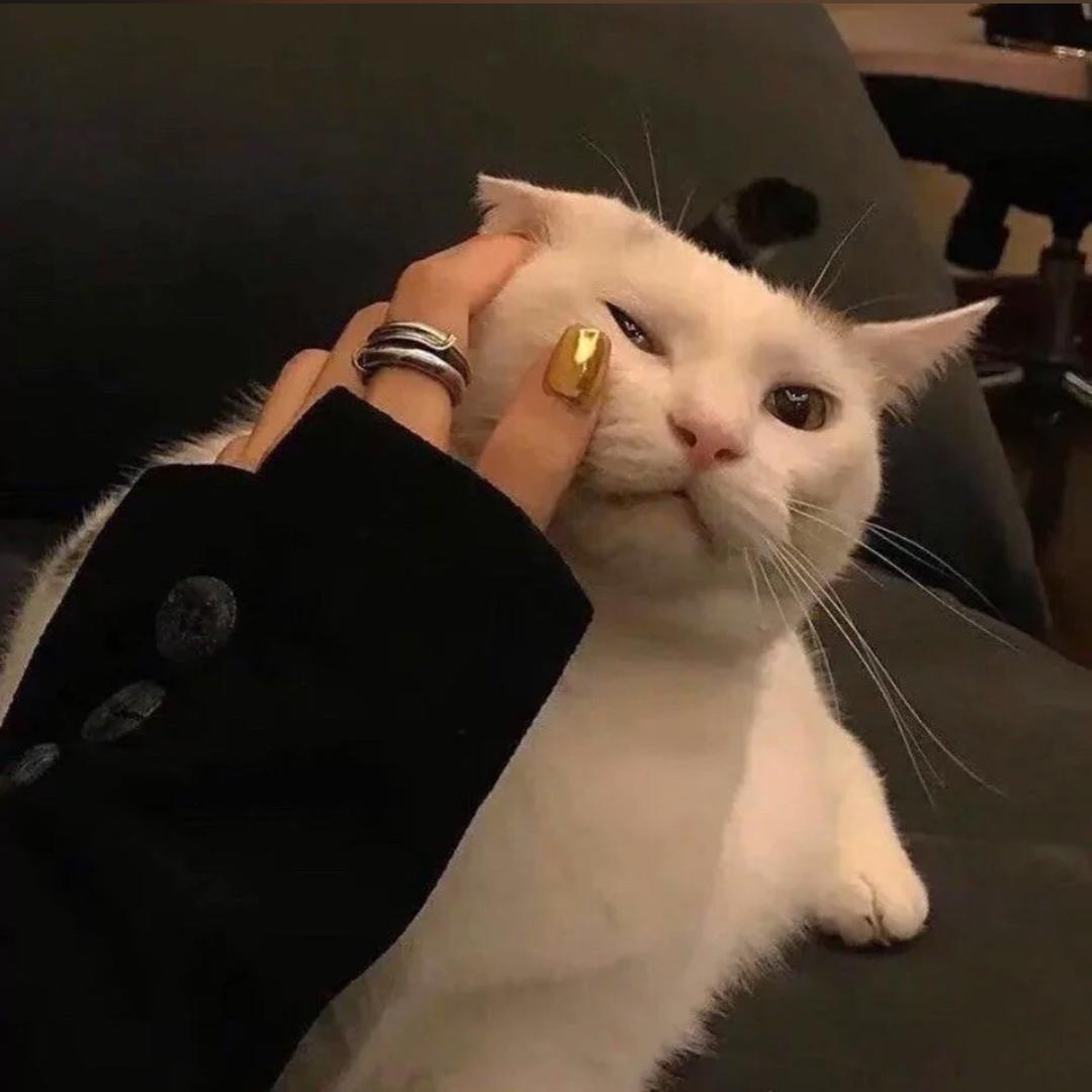 雯.