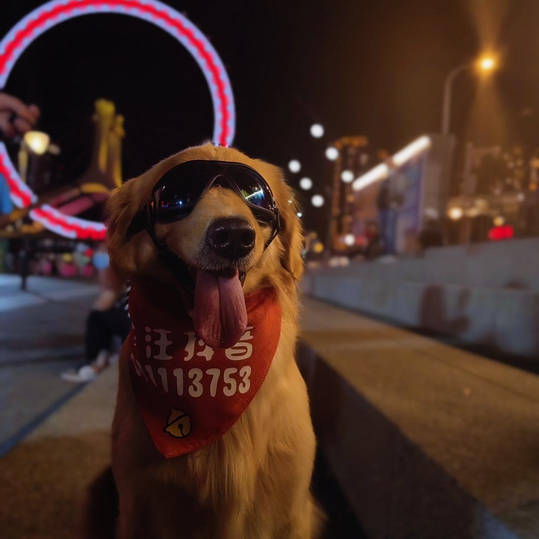 神Tou七月（狗狗祟祟代言人）