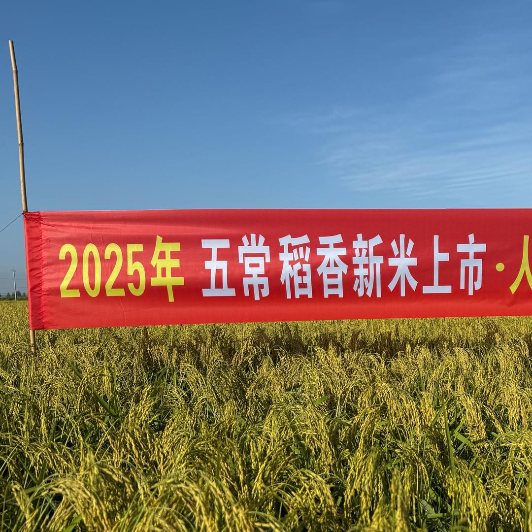 农粮时代五常大米店