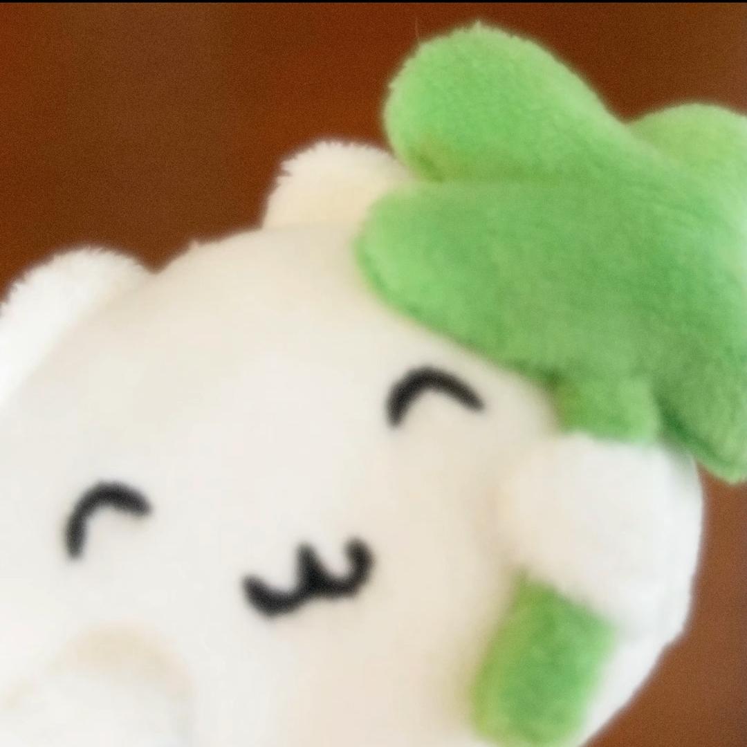 葱花批发商阿洁