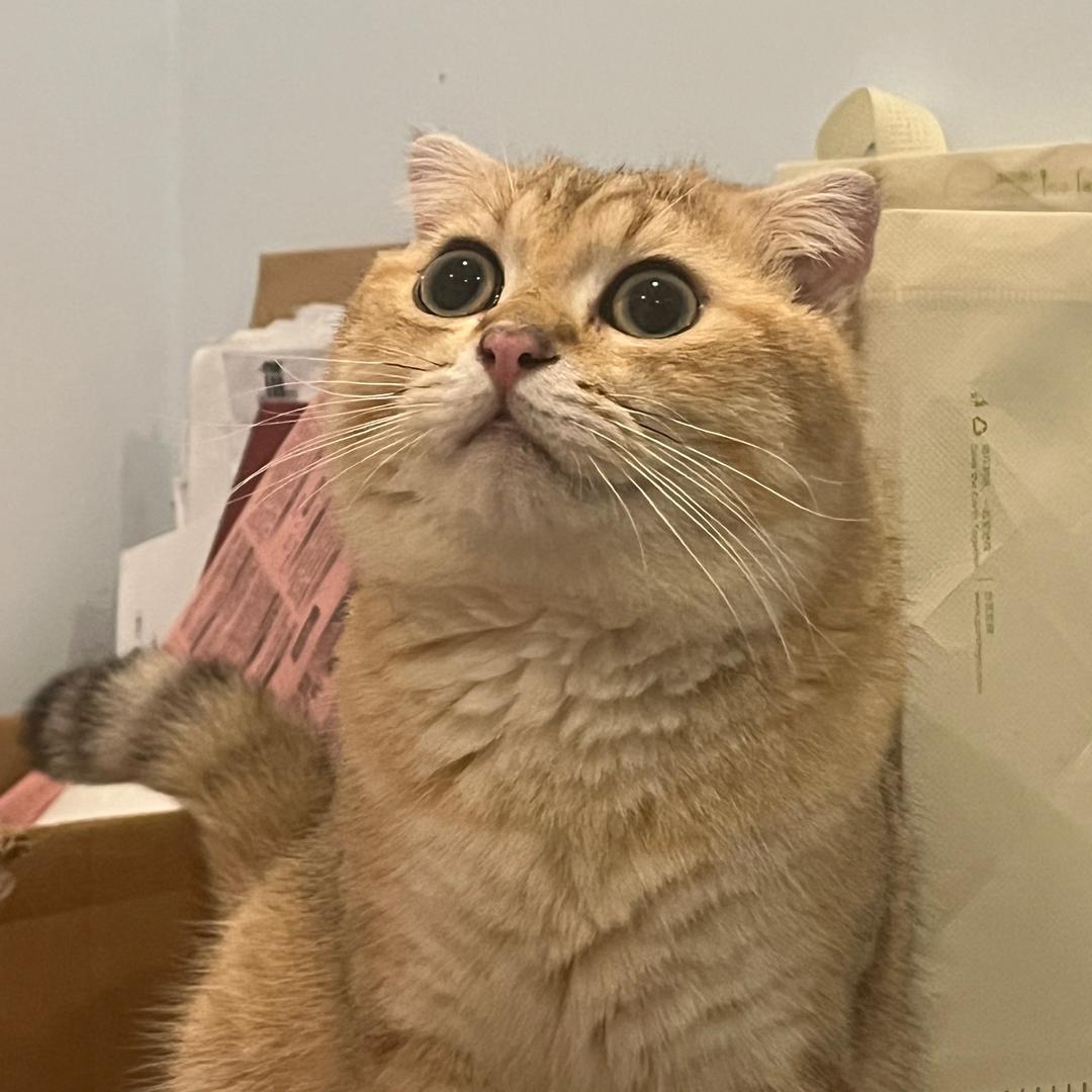 不能熬夜了