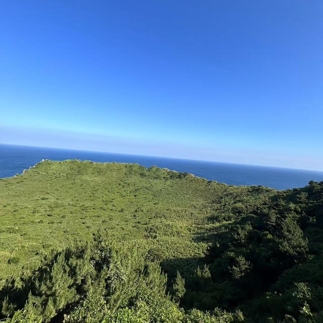 淡淡的风