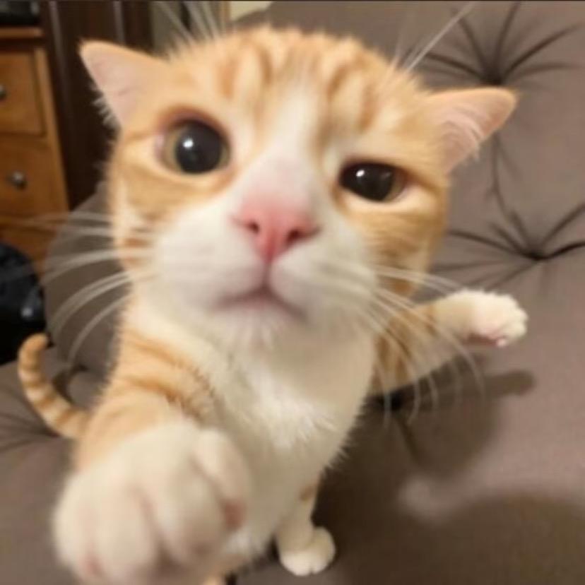 霸王龙