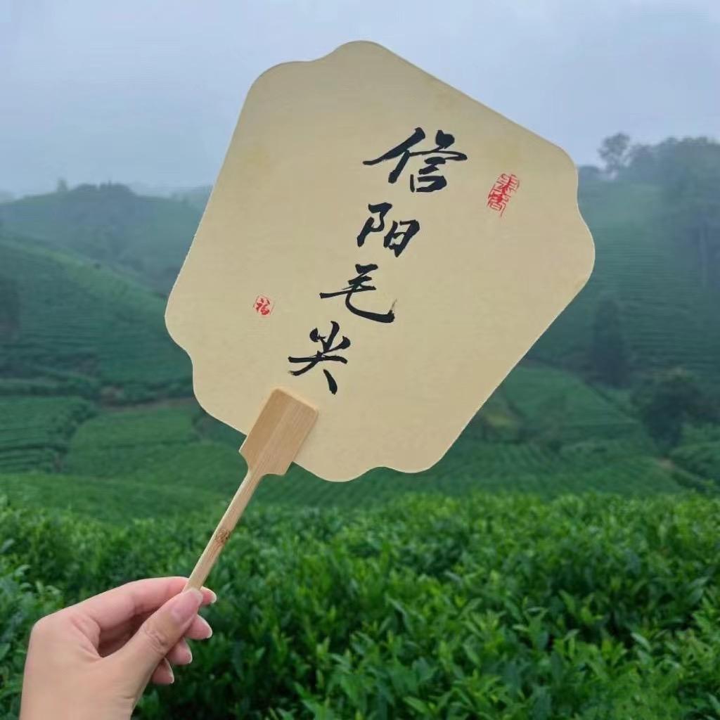 孔氏谷雨《信阳毛尖》