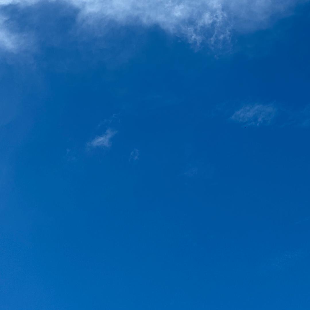 瑾