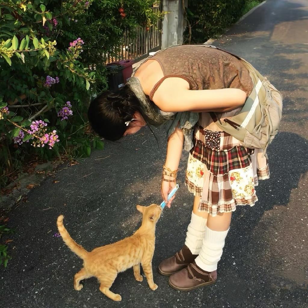 毛肚是只猫