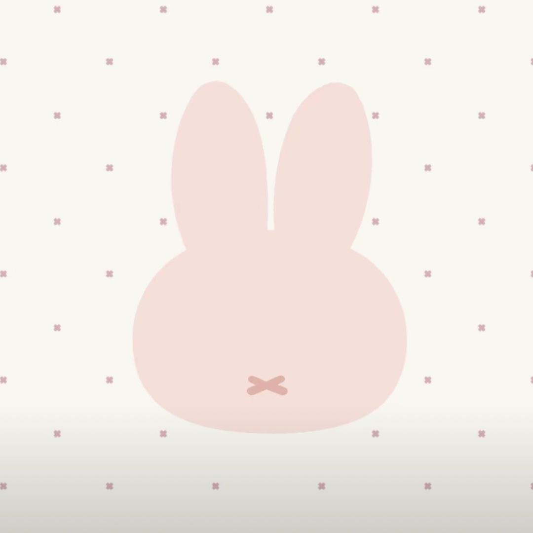 小粉儿兔