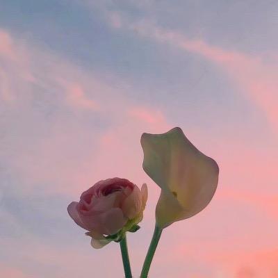 ༺雨落ღ