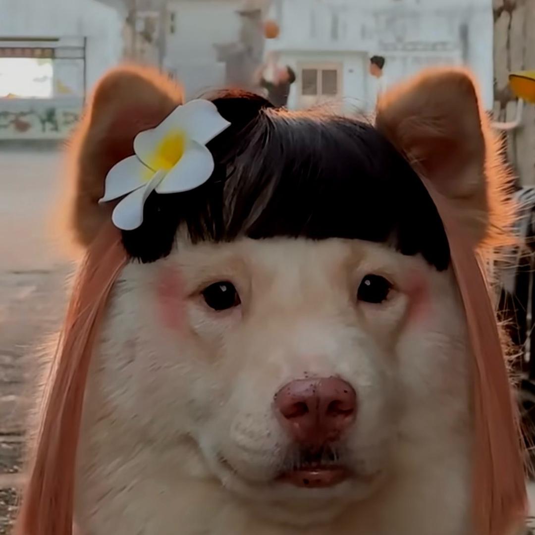 小白白（富豪麻将直播）