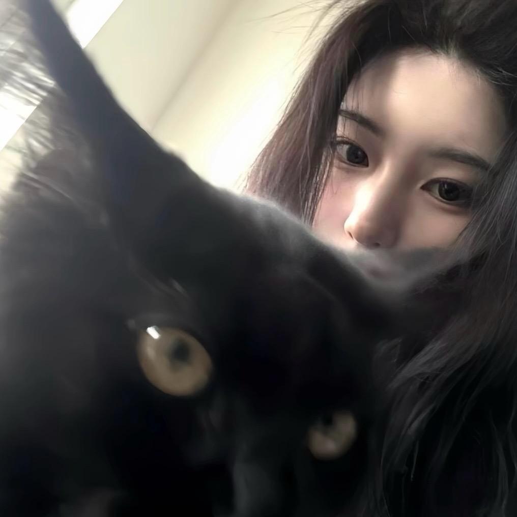 岛了半盒