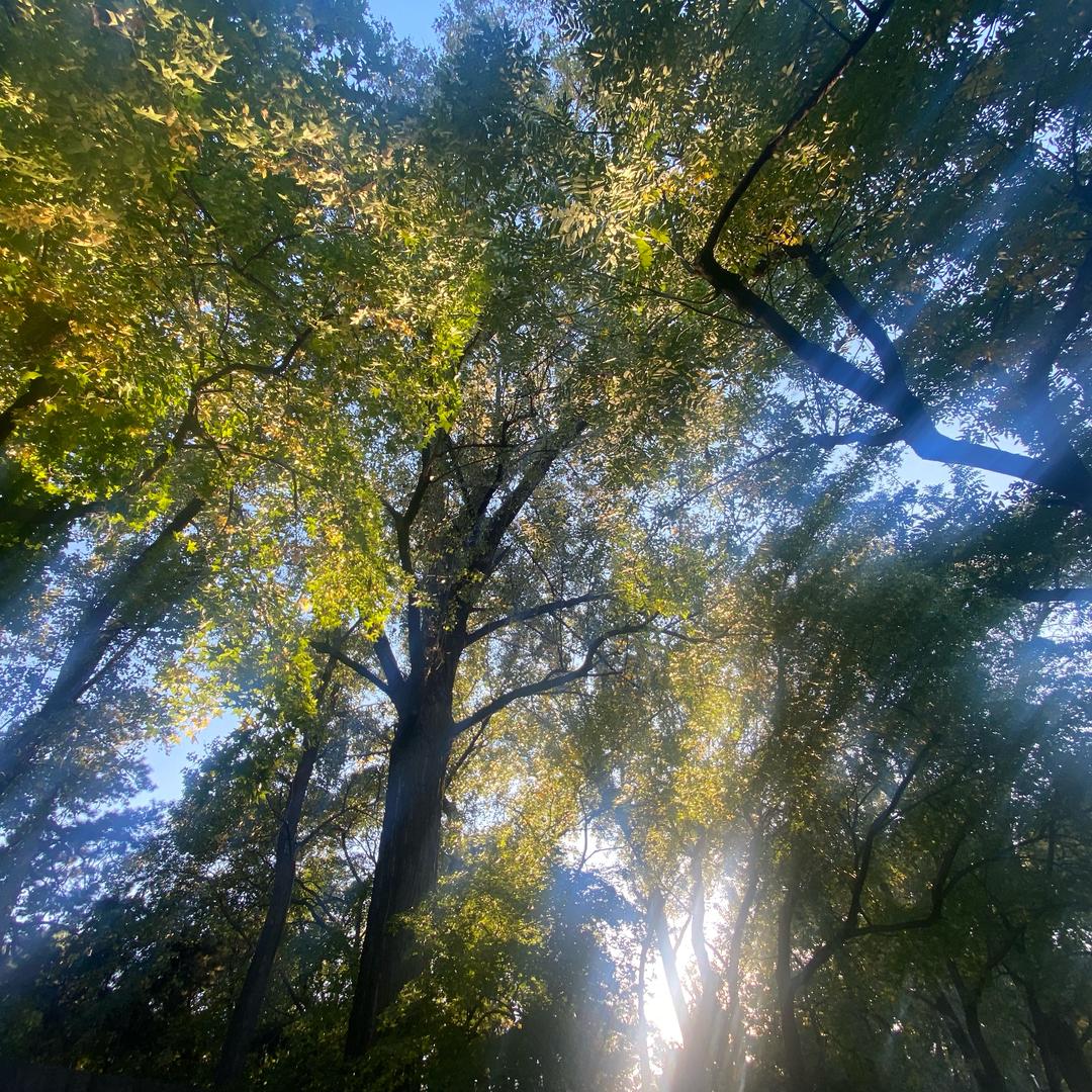 哈哈哈哈哈哈哈哈哈哈