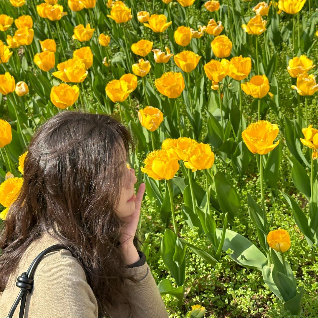 是海肠炒饭耶！！