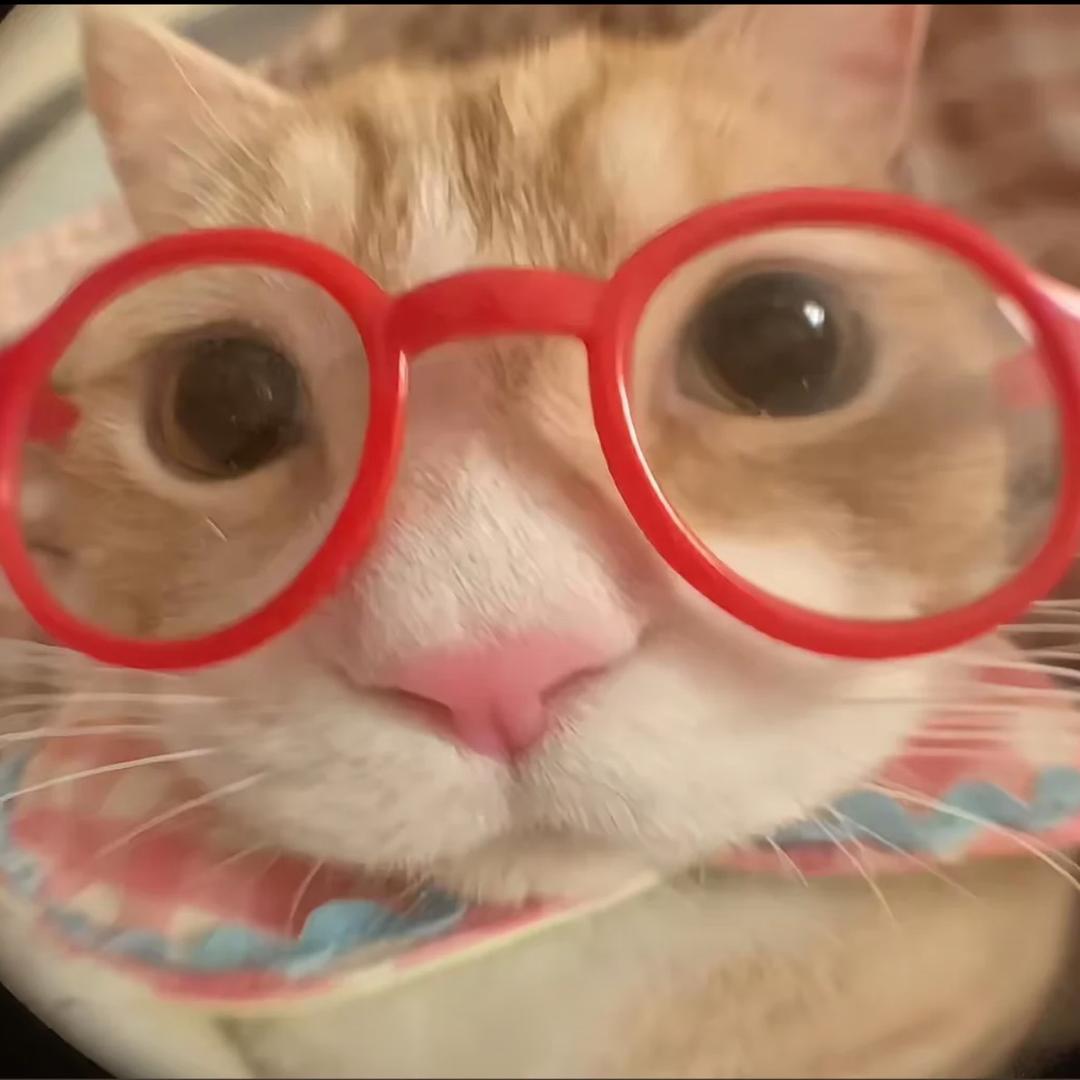 琴逗逗 ！