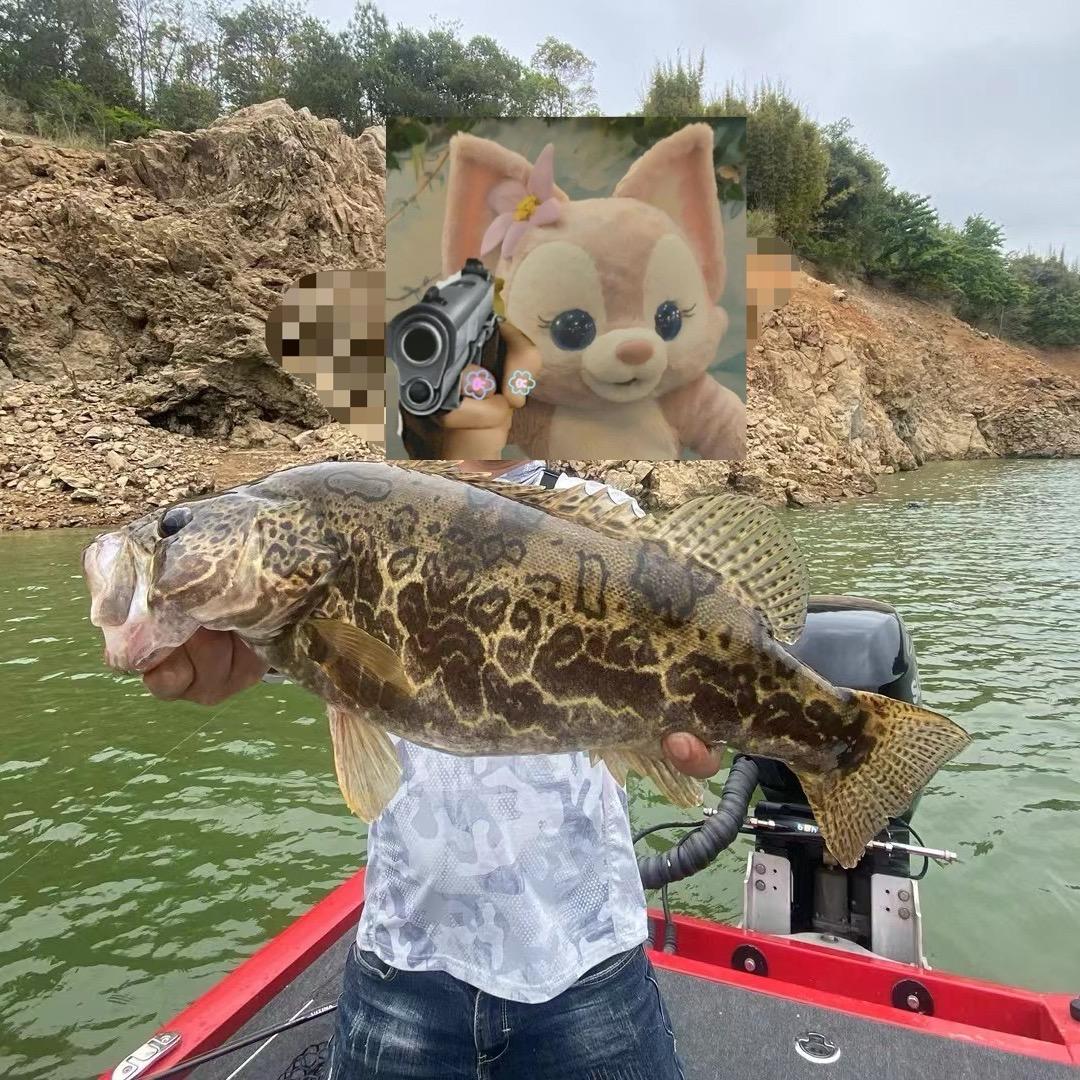 可否