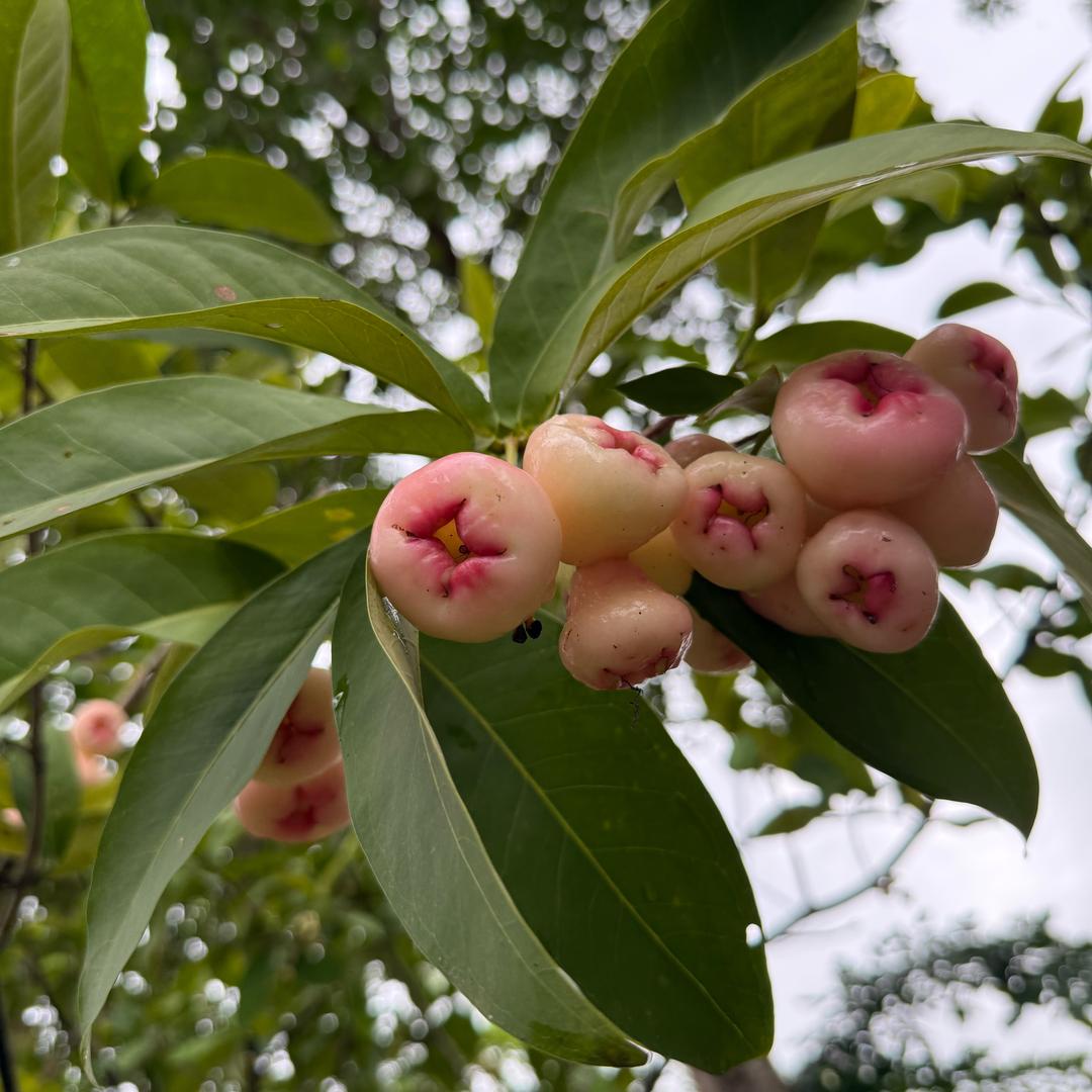 君君2🐦‍🔥🐦‍🔥