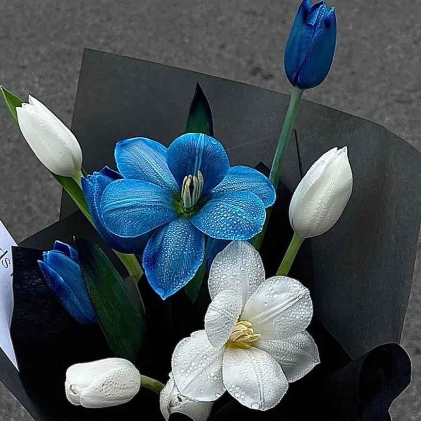 西安市碑林区琴星花艺馆