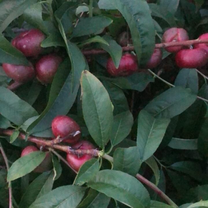 过好余生每一天