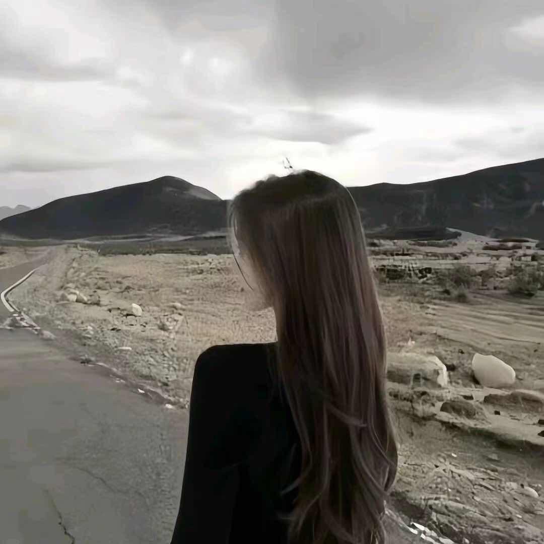 Xiao 凤.
