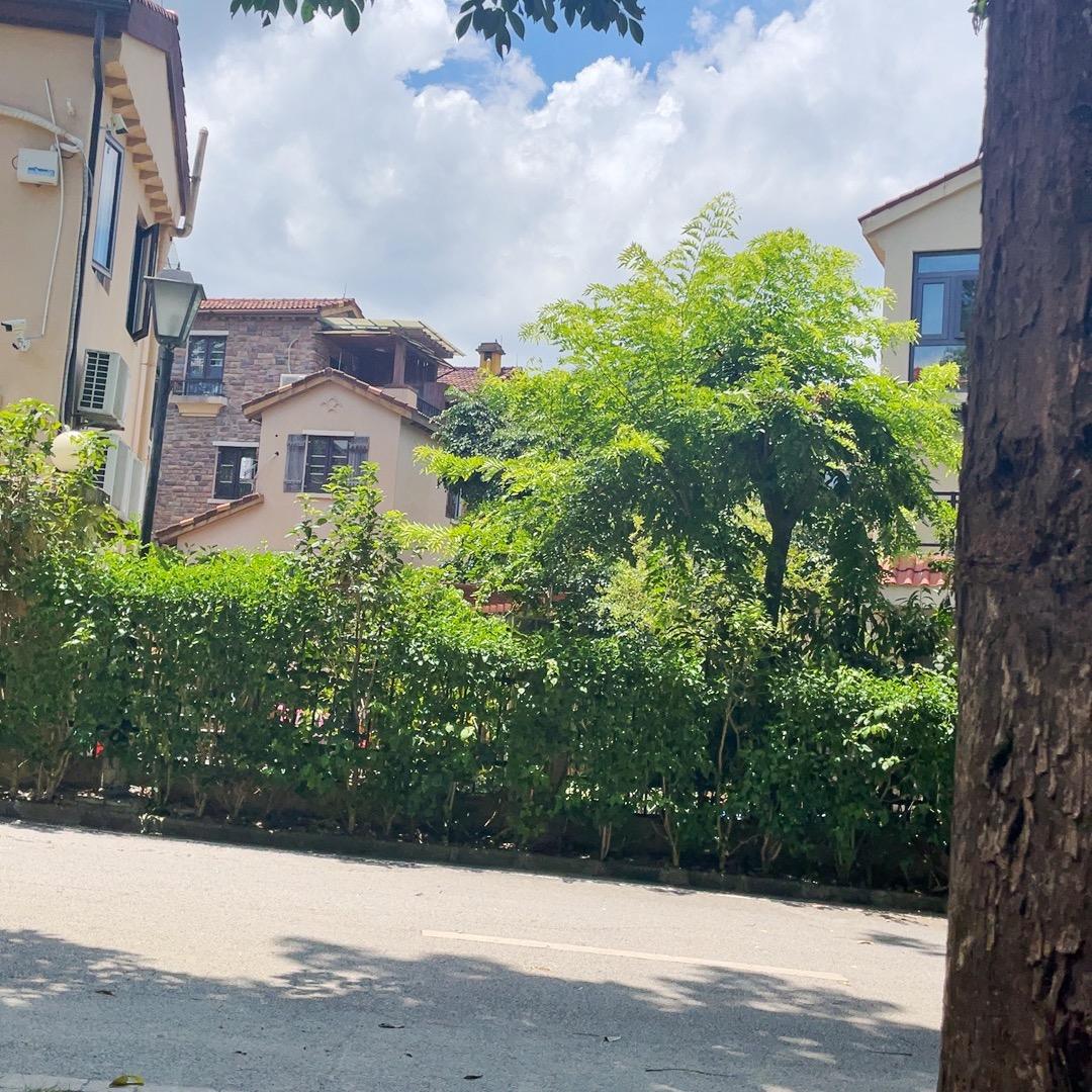 小张同学👨‍🎓