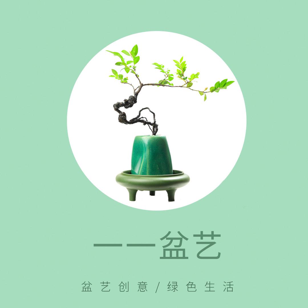 一一盆艺