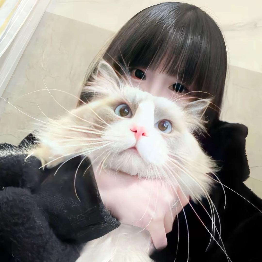 秘书