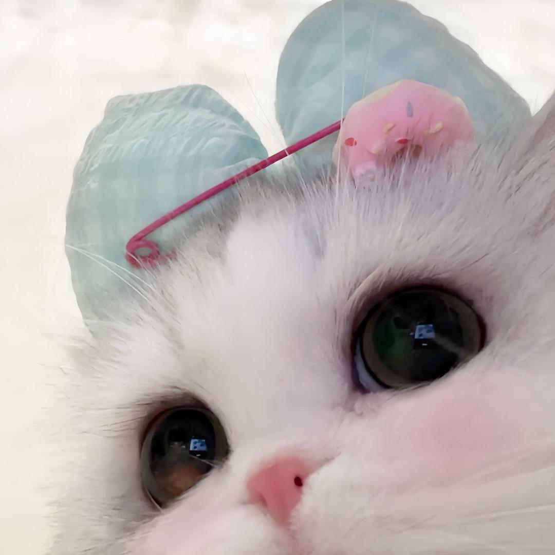 好椰