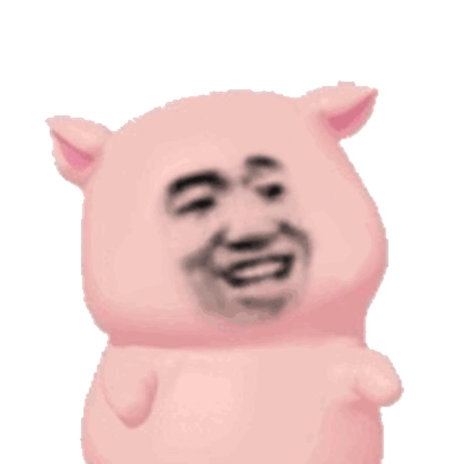 Pig Benis