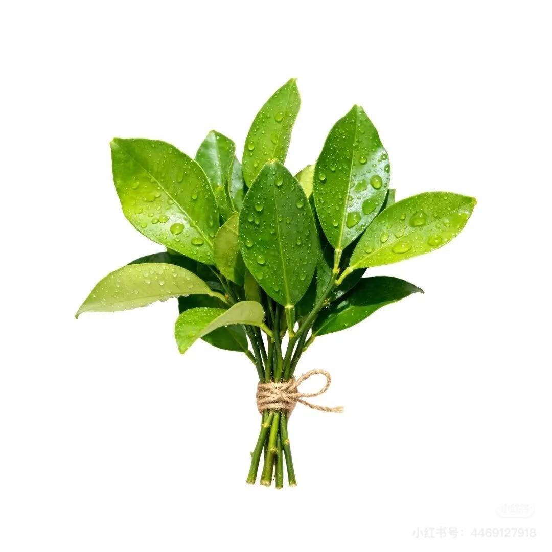 过分美少女(男的关注发不了财