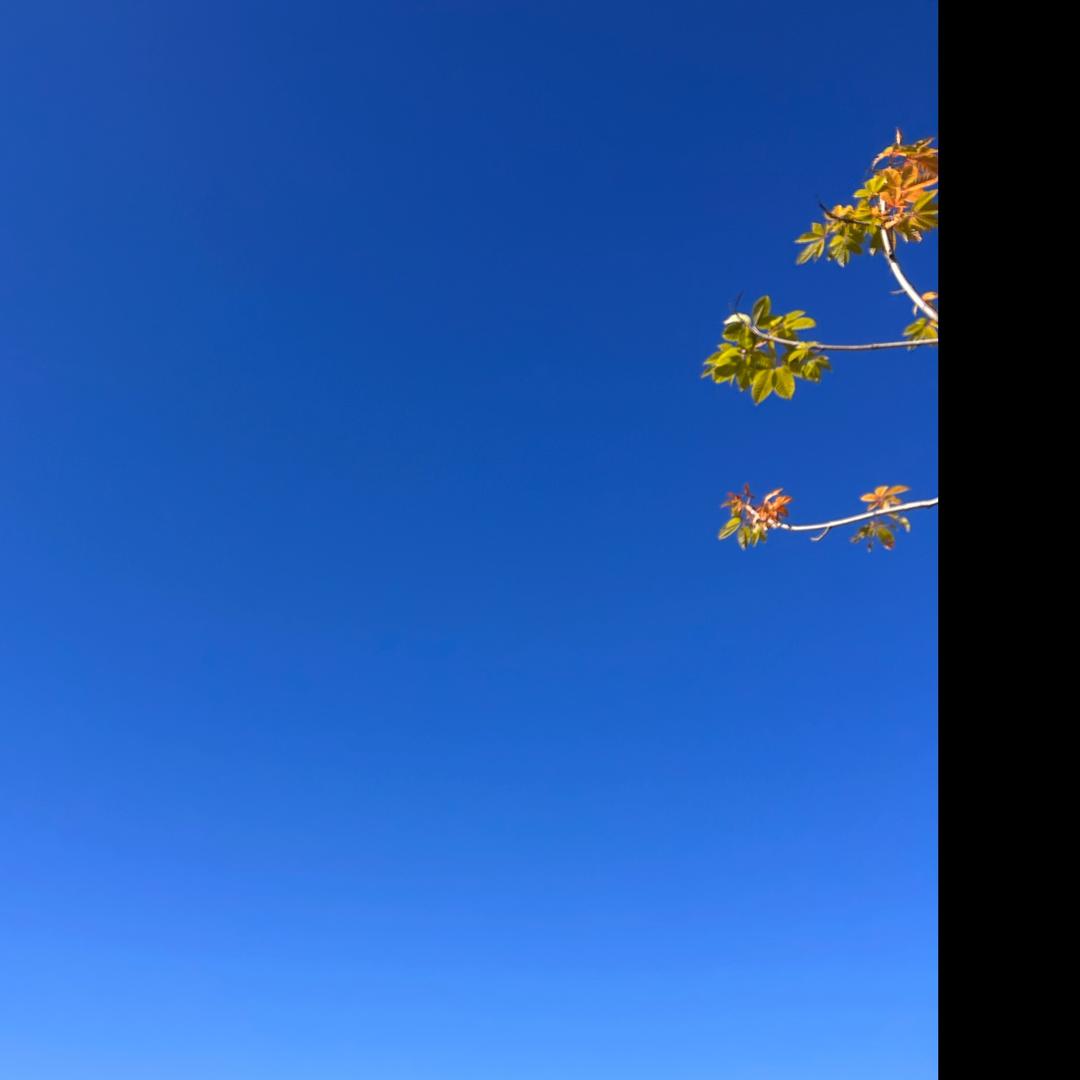 从月亮走向月亮🌛